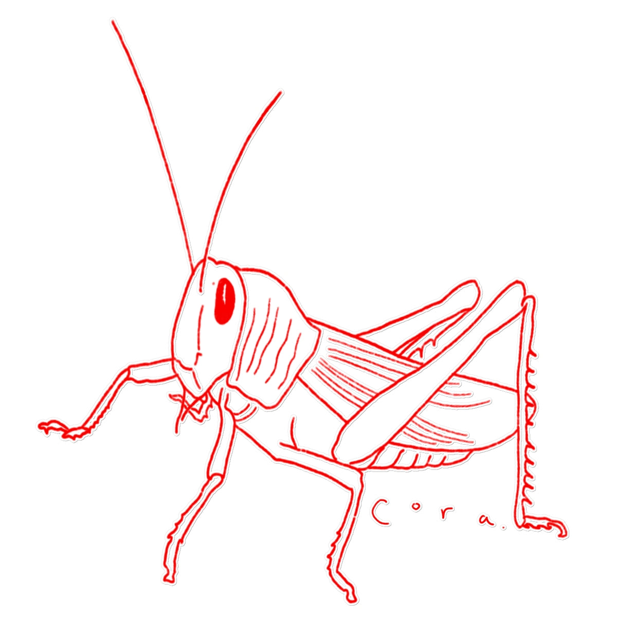 Grasshopper Temporary Tattoo